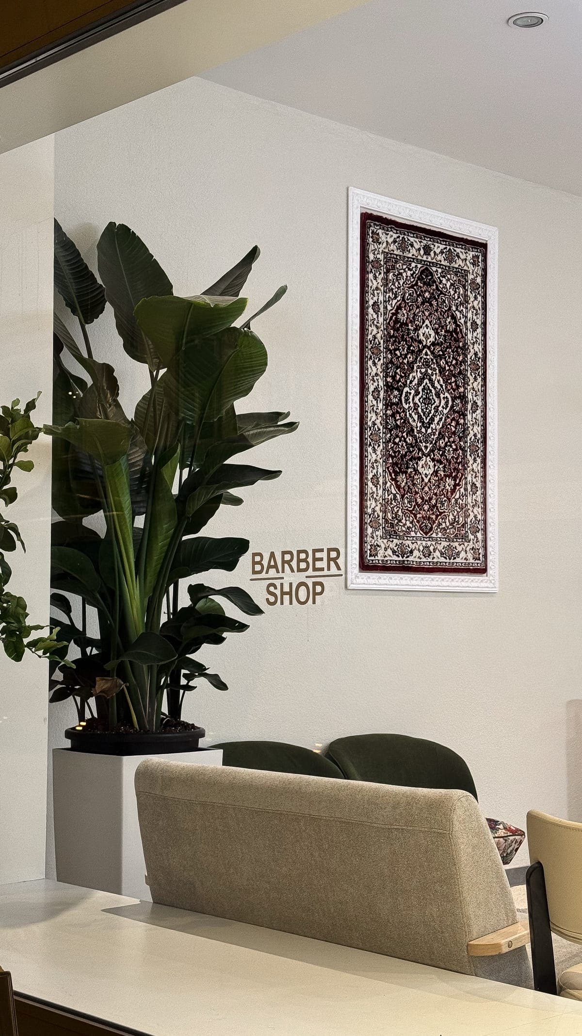Coin barbershop avec grande plante, tapis encadré et lounge